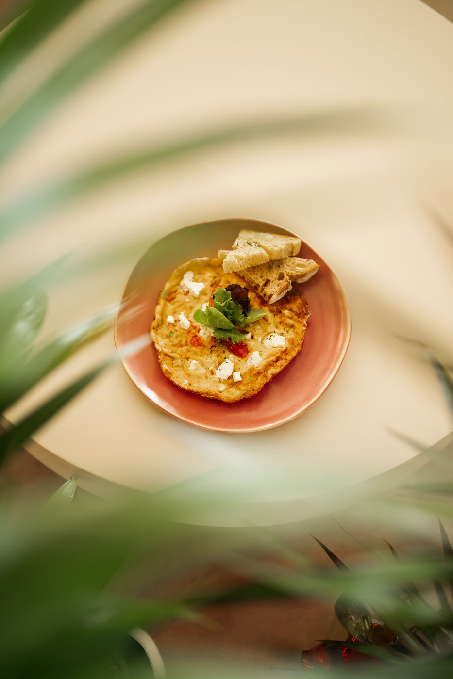 The breakfast plate