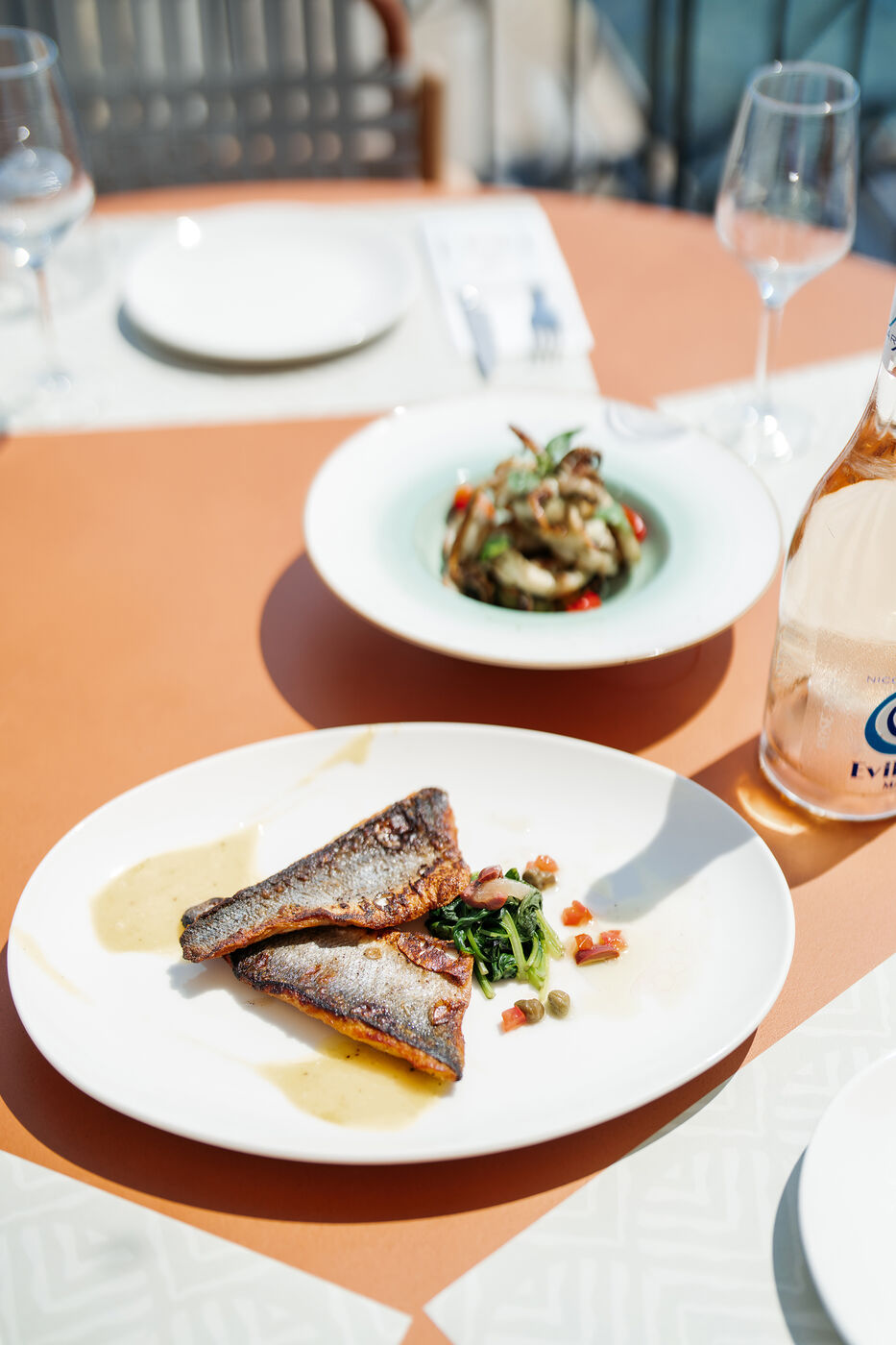 Sea bass by the sea